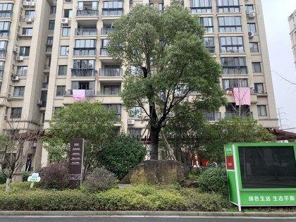 施家园最新爆料,揭秘娱乐圈惊天秘密  第2张