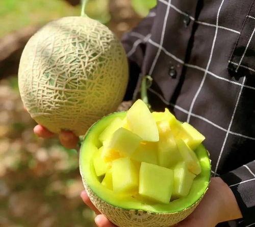 娱乐圈吃瓜壁纸高清,高清揭秘明星幕后生活  第3张