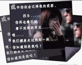 宁哥影视爆料大全最新版,揭秘娱乐圈最新动态与幕后故事  第2张