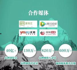 央美爆料实时新闻网站,揭秘艺术界最新动态，独家新闻实时更新  第1张