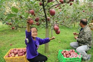 礼县吃瓜网红 第1张 礼县吃瓜网红 第1张